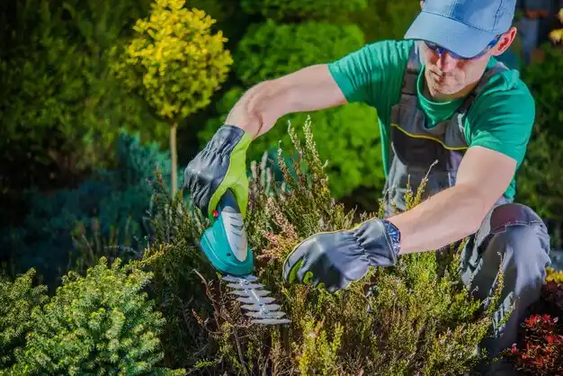 landscaping services Northwest Harwich